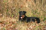 BEAUCERON 1031
